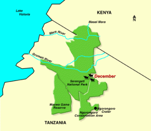 Ngorongoro krater migratie