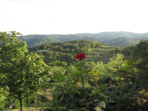 Hum natuur