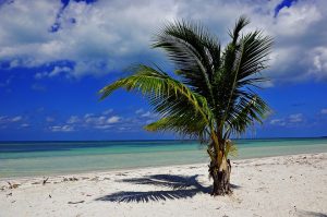 Reis Cuba