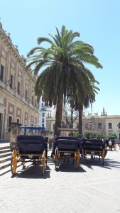 Sevilla Spain tips