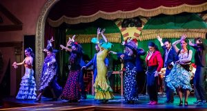 Flamenco dans in sevilla Spanje