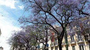lissabon top 10